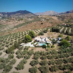  Bed & Breakfast Amorosa Spain
